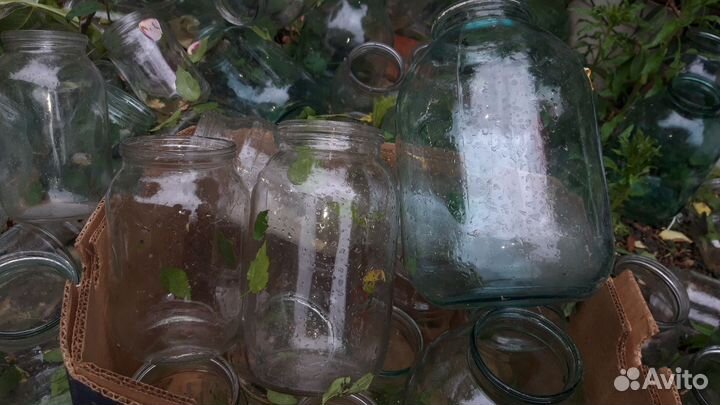 Банки стеклянные бесплатно