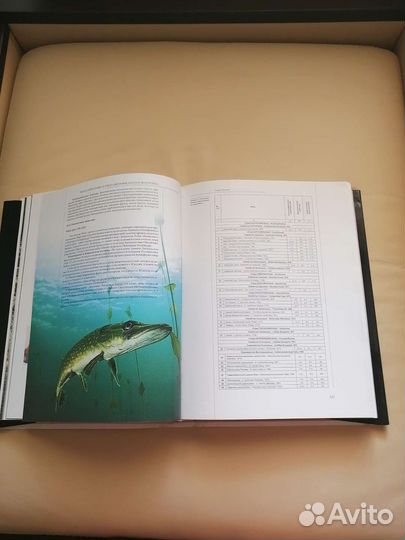 Байкал природа и люди энциклопед. справочник