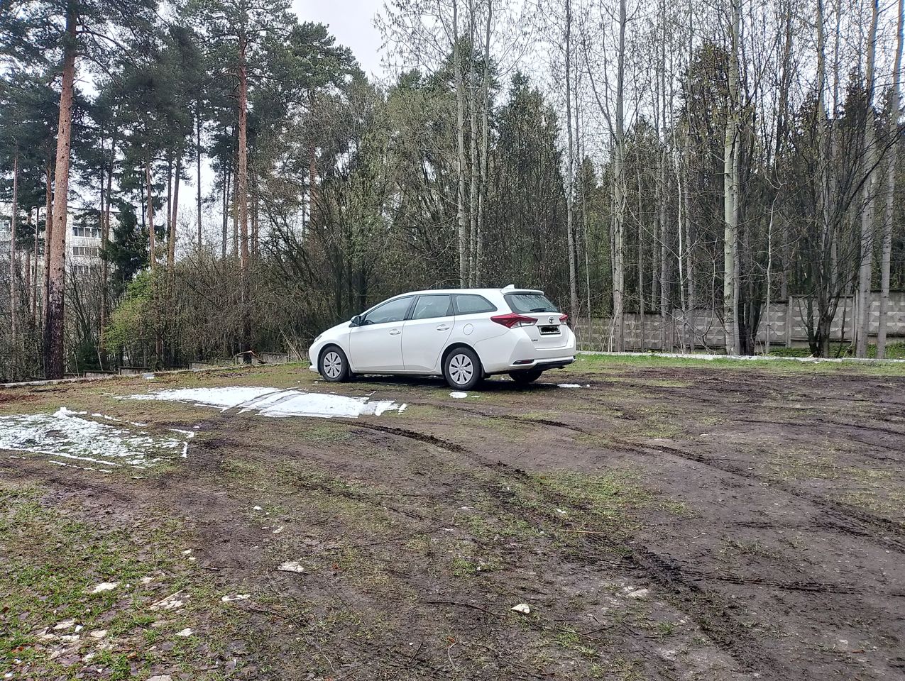 Toyota Auris: фото владельца