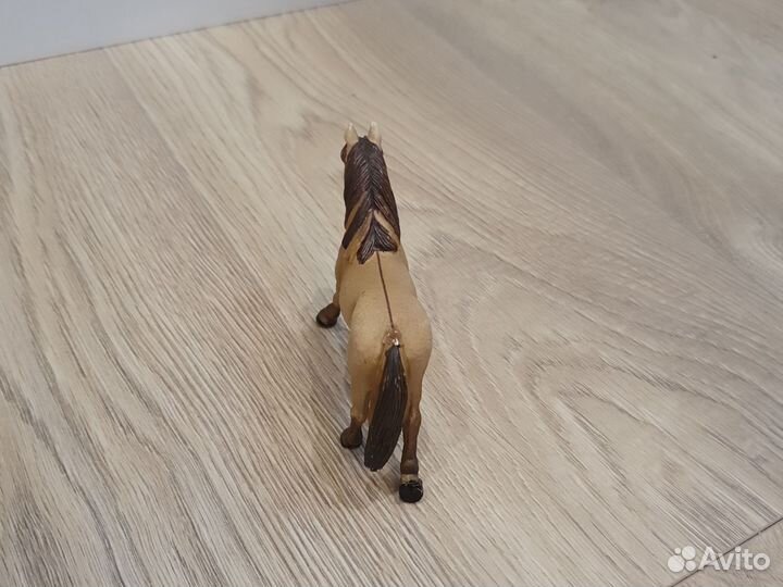 Лошади шляйх