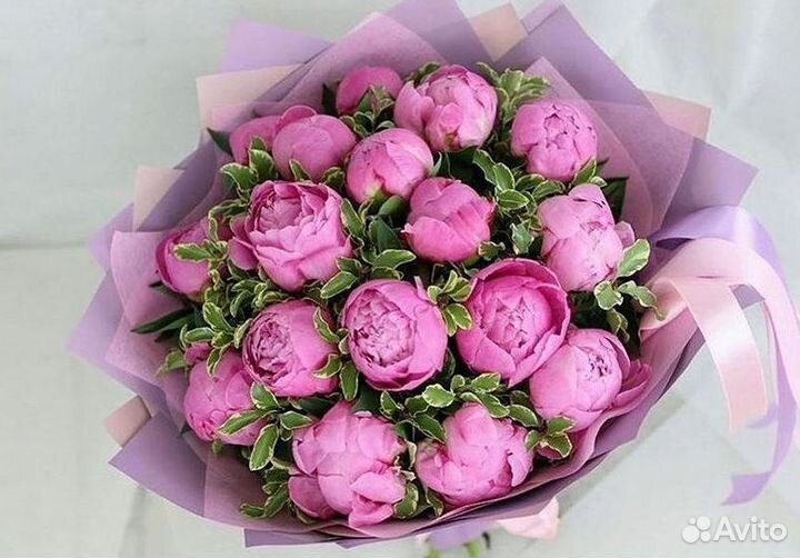 Пионы Букет пионов