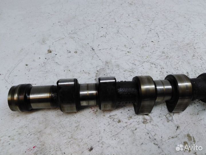 Распредвал выпускной Ауди