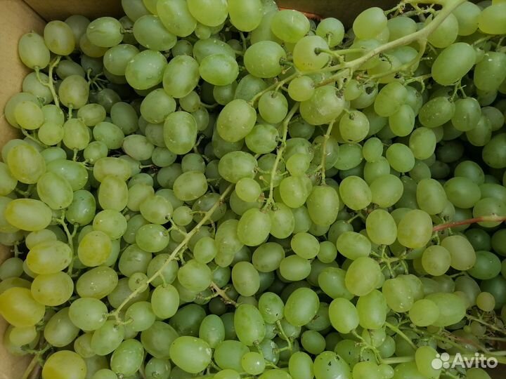 Замороженные ягоды