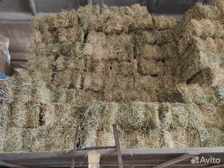 Сено в тюках с доставкой