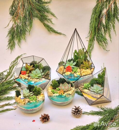 Флорариумы с суккулентами