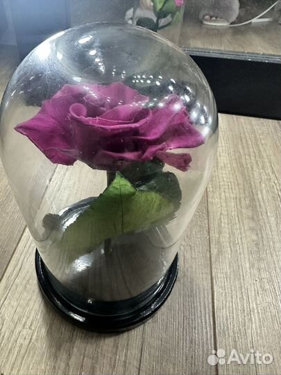 Стабилизированная роза в колбе фуксия