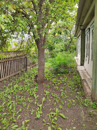 Дом 56,5 м² на участке 7 сот.