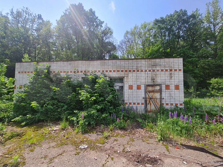 Здание, 310 м²