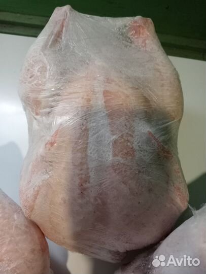 Куры бройлеры тушки мясо