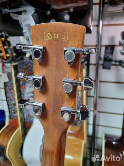Ibanez PF17ECE-LG dreadnought