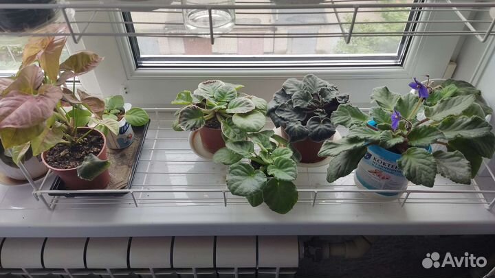 Стеллаж с цветами