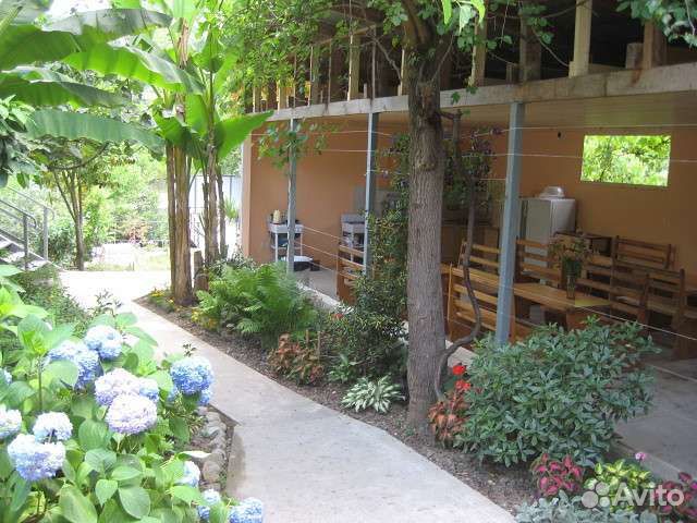 Отдых в Солнечной Абхазии. Монашеское ущелье