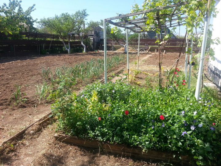 Дача 26 м² на участке 4,5 сот.