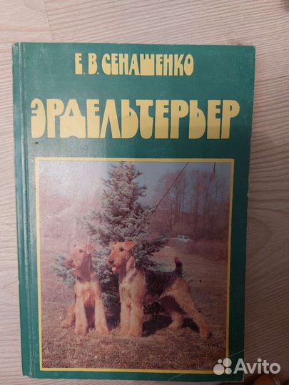 Эрдельтерьер содержание и уход