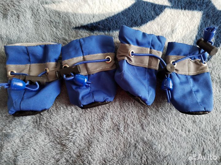 Одежда и обувь для собаки