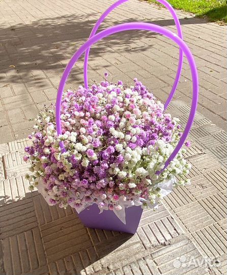 Гипсофила цветы букеты доставка