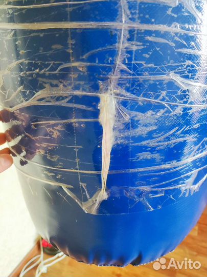 Боксерская груша