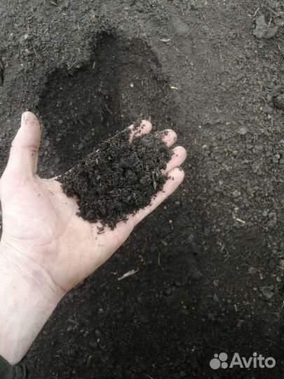Чернозем грунт Перегной доставка