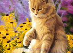 Картина по номерам 40x50 Рыжий котик играет с желт