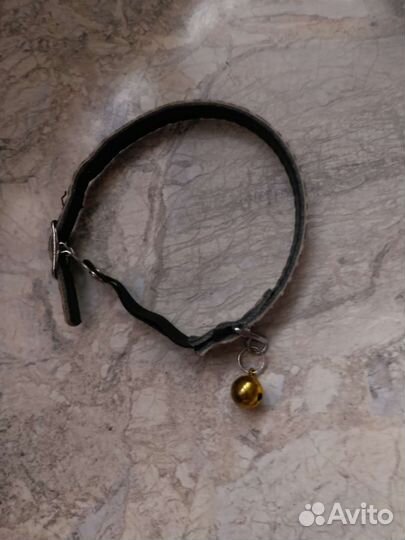 Ошейник и мисочка