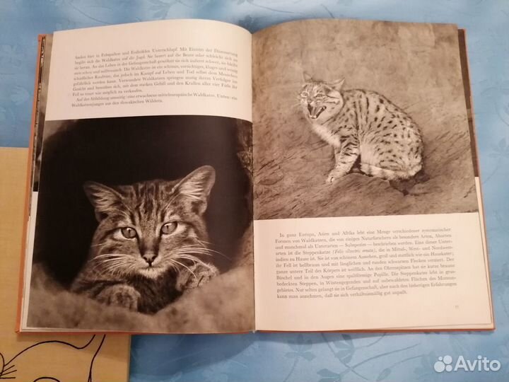 Книги на иностранных языках