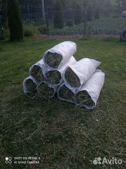 Луговое сено в мешках