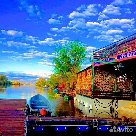 Организация рыбалки