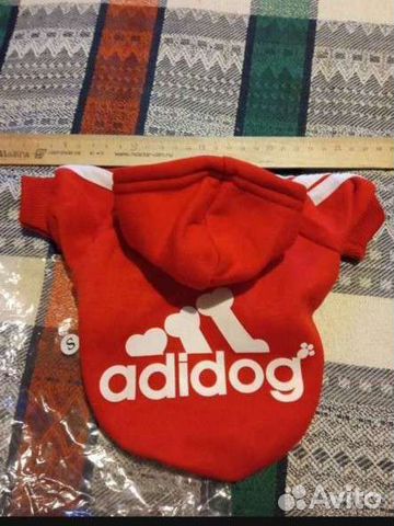 Одежда для собак