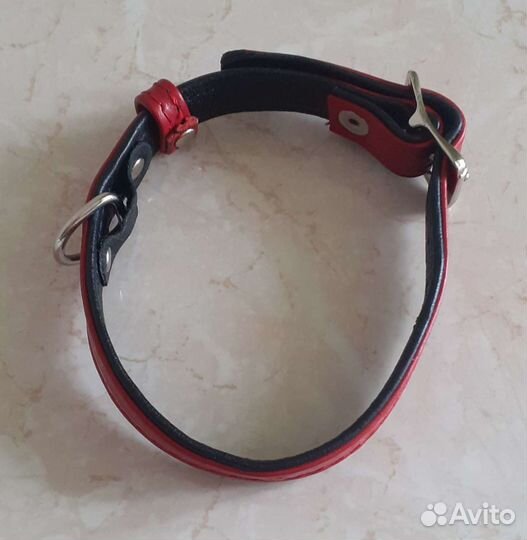 Ошейник для собак