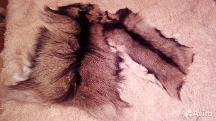 Шкура овечья