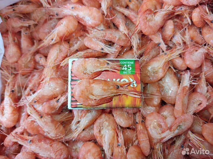 Азовская креветка