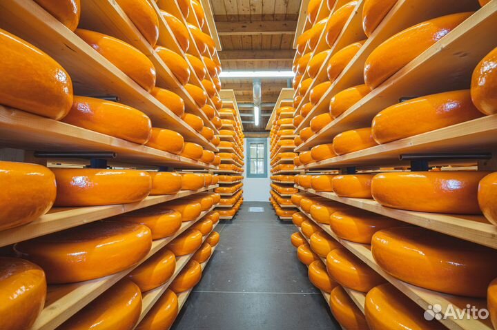 Кладовщик на сырный склад