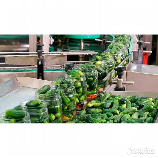 Упаковщик овощей. Вахта