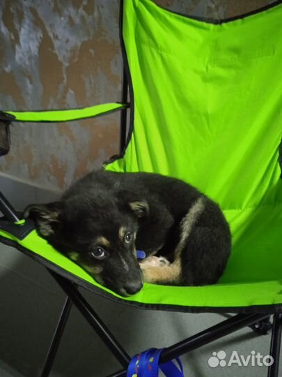 Нежная спокойная Малышка в самые добрые руки