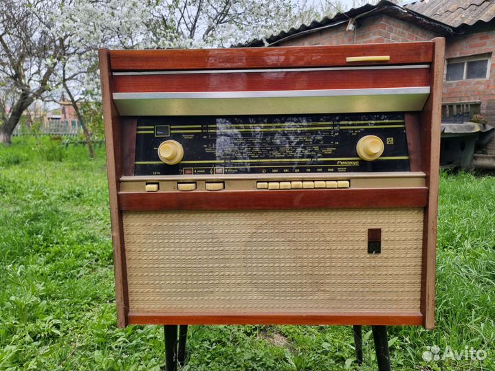 Радиола ригонда