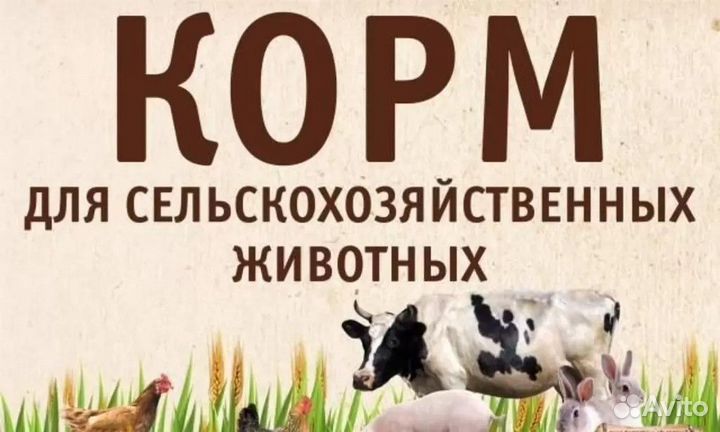 Корма для животных