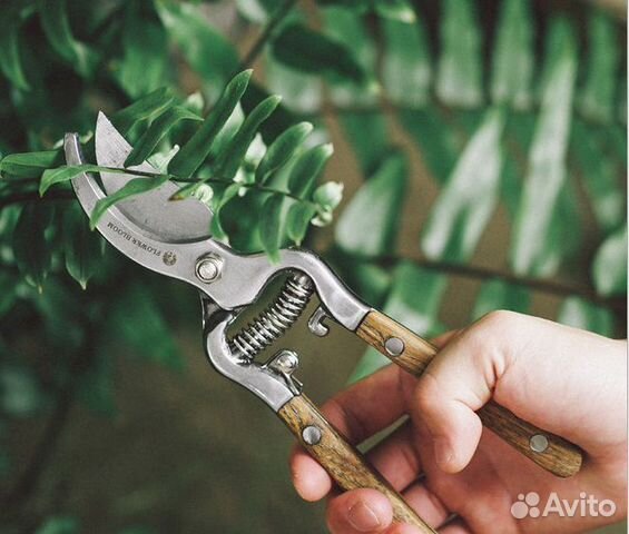 Секатор Садовый