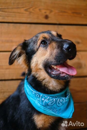 Лепс, подросток спасите мальчика