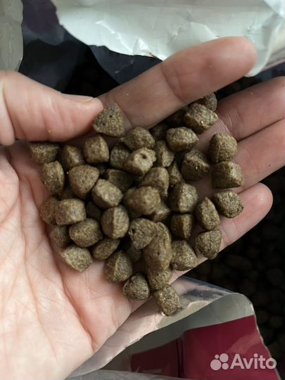 Корм delicana для собак мелких пород говядина