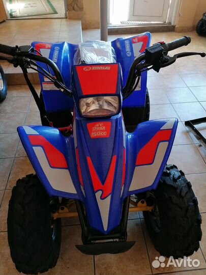 Linhai-yamaha PolarFox 150