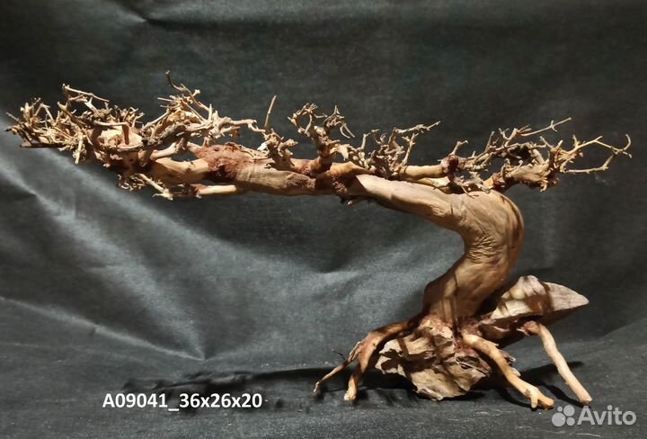 Коряги Бонсай, растения., корма для рыб