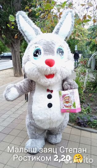 Белый мишка поздравление Сочи/ аниматоры / аренда