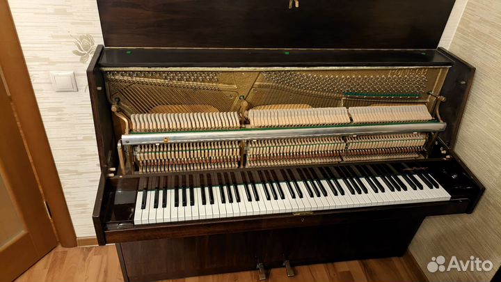 Пианино Ronisch