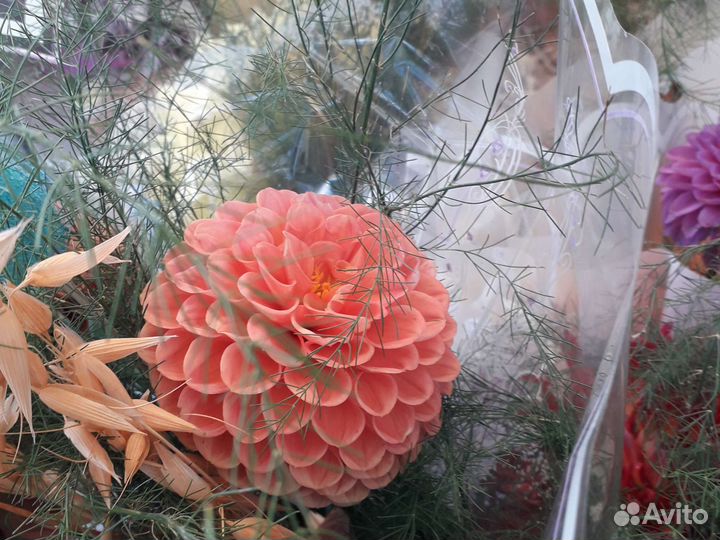 Цветы георгины срезка и клубни