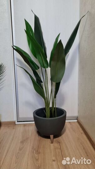 Искусственное дерево, стрелиция