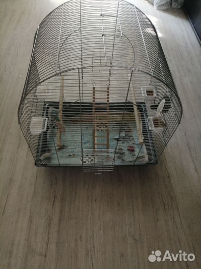 Огромная клетка для попугая