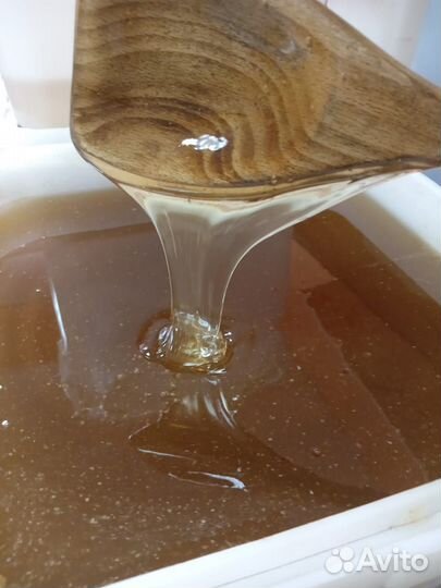 Мёд алтайский 2023