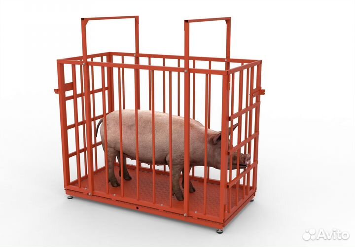 Весы для крс 300 кг 0,75х1м