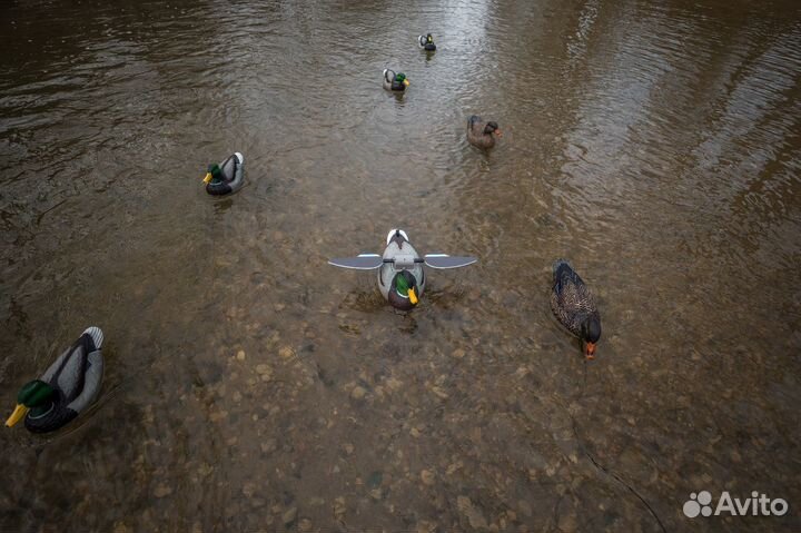 Чучело кряквы Lucky HD Floater (селезень)