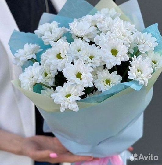 Хризантема